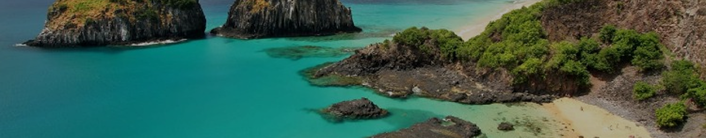 Banner 1